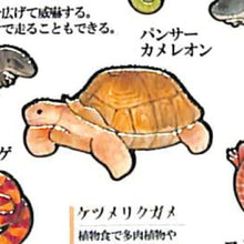 Load image into Gallery viewer, KAMIOJAPAN カミオジャパン シール ・ PM大人の図鑑シール/爬虫類 シール帳 福袋 丸 おしゃれ アルバム デコレーション ハート 大量 ステッカー スマホ ごほうび 花 かわいい スケジュール帳 手帳のタイムキーパー :4991277416914