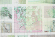 画像をギャラリービューアに読み込む, KAMIO JAPAN カミオジャパン シール ・ フレームズストーリー シール グリーン シール帳 福袋 丸 おしゃれ アルバム デコレーション ハート 大量 ステッカー スマホ ごほうび 花 かわいい スケジュール帳 手帳のタイムキーパー :4991277422571