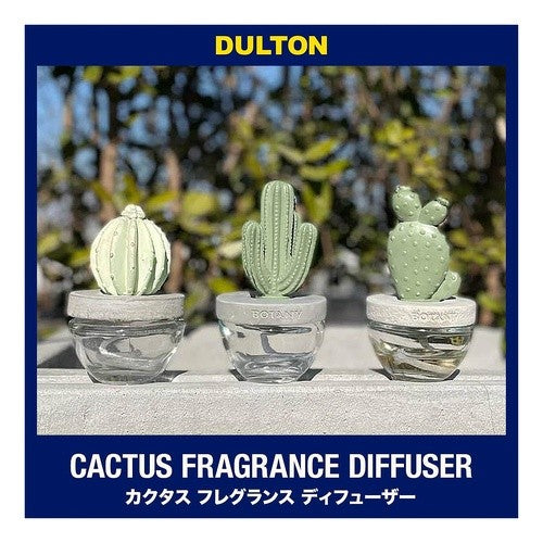 CACTUS FRAGRANCE DIFFUSER C W.FLOWER