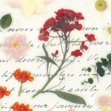 Load image into Gallery viewer, S&C Corporation S&C Corporation Seals Swathes Sticker Flower Letter Pressed Flower Seal Book Lucky Bag Round Stylish Album Decoration Heart Large Quantity Sticker Smartphone Reward Flower Cute Schedule Book Diary Timekeeper: 8809395494232