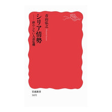 Load image into Gallery viewer, シリア情勢