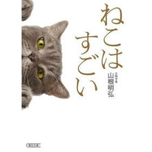 画像をギャラリービューアに読み込む, #山根 明弘 #ねこはすごい ヤマネアキヒロ :9784022620606