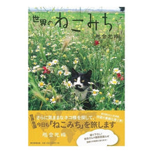 画像をギャラリービューアに読み込む, #岩合 光昭 #世界のねこみち イワゴウミツアキ 朝日新聞出版 : Mitsuaki Iwago Nekomichi of the world :9784023315938