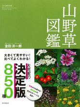Load image into Gallery viewer, 山野草図鑑 金田 洋一郎 著 カネダヨウイチロウ 朝日新聞出版 :9784023333185