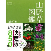 画像をギャラリービューアに読み込む, 山野草図鑑