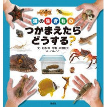 画像をギャラリービューアに読み込む, 海の生きものつかまえたらどうする?