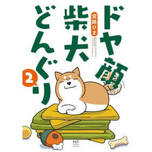 画像をギャラリービューアに読み込む, ドヤ顔柴犬どんぐり 2