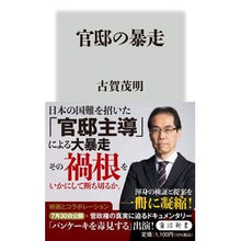 画像をギャラリービューアに読み込む, 官邸の暴走