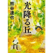 Load image into Gallery viewer, 光降る丘