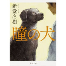 Load image into Gallery viewer, 瞳の犬 Fuyuki Shindo