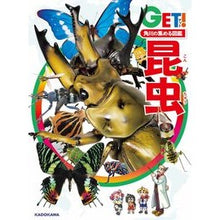 画像をギャラリービューアに読み込む, 昆虫