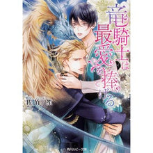 画像をギャラリービューアに読み込む, 竜騎士は最愛を捧げる