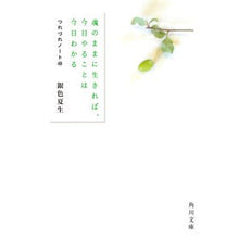 画像をギャラリービューアに読み込む, #銀色 夏生 #魂のままに生きれば、今日やることは今日わ ギンイロナツオ KADOKAWA 魂のままに生きれば、今日やることは今日わかる つれづれノート40 (角川文庫) : Silver Natsuo If you live according to your : Silver Natsuo If you live acco :9784041117828