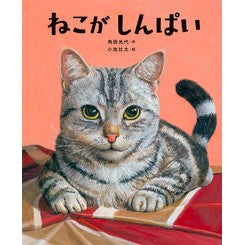 #角田光代 #ねこがしんぱい カクタミツヨ TOKIMEKIパブリッシング :9784041158456