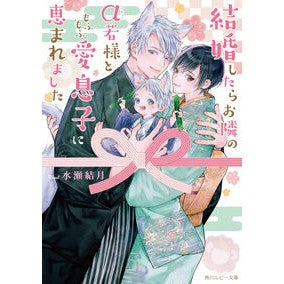 #水瀬結月 ミナセユヅキ TOKIMEKIパブリッシング :9784041177402