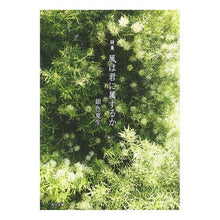 Load image into Gallery viewer, #銀色 夏生 #詩集 風は君に属するか ギンイロナツオ 角川書店(角川グループパブリッシング) 詩集 風は君に属するか (角川文庫 き 9-75) : Silver Natsuo Poetry collection: Does the wind belong t : Silver Natsuo Poetry collectio :9784041673799