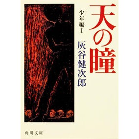 #灰谷 健次郎 #天の瞳 少年編 1 ハイタニケンジロウ KADOKAWA 天の瞳 少年編I (角川文庫) : Kenjiro Haitani Heaven's Eye Boy Edition 1 :9784043520282