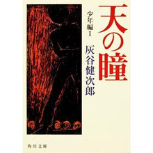 Load image into Gallery viewer, 天の瞳 少年編 1 Kenjiro Haitani