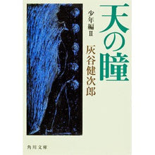 画像をギャラリービューアに読み込む, 天の瞳 少年編 2 Kenjiro Haitani