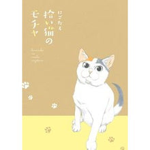 画像をギャラリービューアに読み込む, 拾い猫のモチャ
