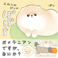 画像をギャラリービューアに読み込む, #ぽこ #ふわふわポメのぽぽち