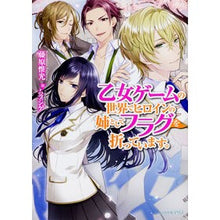 画像をギャラリービューアに読み込む, 乙女ゲームの世界でヒロインの姉としてフラ