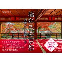 Load image into Gallery viewer, 極彩色の京都 四季の名所めぐり