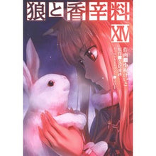 Load image into Gallery viewer, 狼と香辛料 14