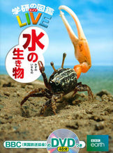画像をギャラリービューアに読み込む, #学研プラス #水の生き物DVD付 :9784052043277