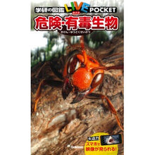 画像をギャラリービューアに読み込む, 危険・有毒生物