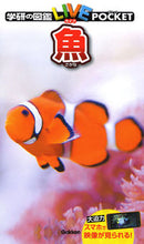 Load image into Gallery viewer, #学研プラス #魚 :9784052046643