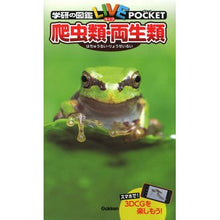 Load image into Gallery viewer, 爬虫類・両生類