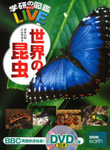 画像をギャラリービューアに読み込む, #学研プラス #世界の昆虫