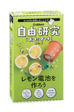 画像をギャラリービューアに読み込む, #学研プラス #自由研究おたすけキットレモン電池を作ろ
