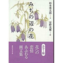 画像をギャラリービューアに読み込む, みちの辺の花 カラー版