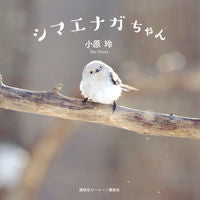 画像をギャラリービューアに読み込む, シマエナガちゃん 小原 玲 著 オハラレイ 講談社ビーシー 講談社ビーシー :9784062203401