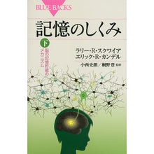 画像をギャラリービューアに読み込む, 記憶のしくみ 下 脳の記憶貯蔵のメカニズ