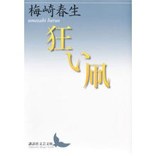画像をギャラリービューアに読み込む, 狂い凧