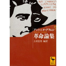 画像をギャラリービューアに読み込む, 革命論集
