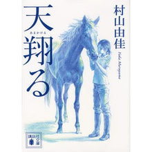 画像をギャラリービューアに読み込む, 天翔る