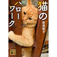 画像をギャラリービューアに読み込む, 猫のハローワーク Nimi keiko cat hello work