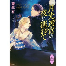 画像をギャラリービューアに読み込む, 月光迷宮の夜に濡れて