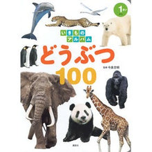 画像をギャラリービューアに読み込む, #今泉忠明 #いきものアルバム どうぶつ100 イマイズミタダアキ 講談社 いきものアルバム どうぶつ100 (講談社のアルバムシリーズ) : Tadaaki Imaizumi Creature Album Animal 100 :9784065333860