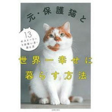 画像をギャラリービューアに読み込む, 元・保護猫と世界一幸せに暮らす方法