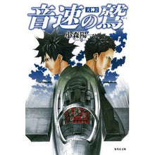 画像をギャラリービューアに読み込む, 音速の鷲 天神 2