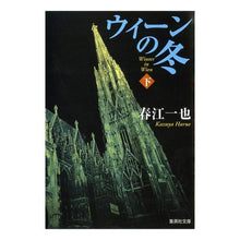 Load image into Gallery viewer, ウィーンの冬 下