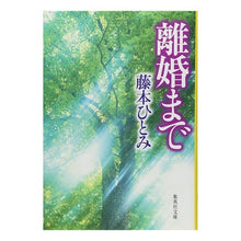 画像をギャラリービューアに読み込む, 離婚まで Hitomi Fujimoto