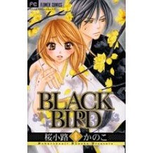 画像をギャラリービューアに読み込む, #桜小路 かのこ 著 #BLACK BIRD 6 サクラコウジカノコ 小学館 BLACK BIRD (6) (Betsucomiフラワーコミックス) : Written by Kanoko Sakurakoji BLACK BIRD 6 :9784091321305