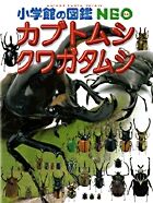 画像をギャラリービューアに読み込む, #小学館 #小学館の図鑑NEO16カブトムシ・ :9784092172166