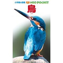画像をギャラリービューアに読み込む, 鳥